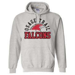 Falcons Hoodie