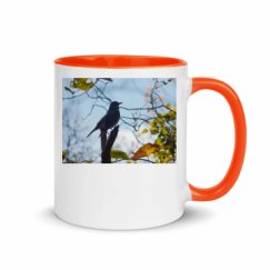11oz Ceramic Mug with Color Inside
