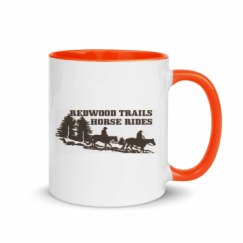 11oz Ceramic Mug with Color Inside