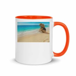 11oz Ceramic Mug with Color Inside