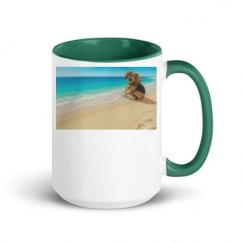 15oz Ceramic Mug with Color Inside