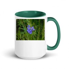 15oz Ceramic Mug with Color Inside