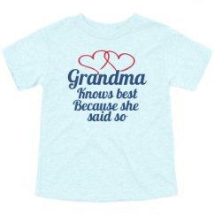 Toddler Triblend Tee