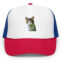 Cat on the Hat