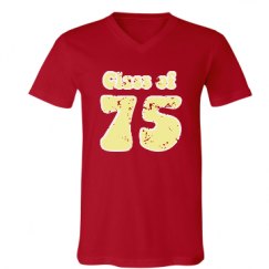 Unisex V-Neck Jersey Tee