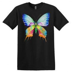 Beautiful Beautiful Butterfly Colour