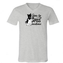 Unisex V-Neck Jersey Tee