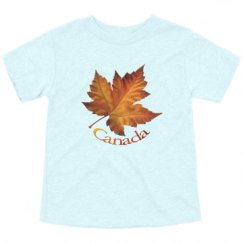 Toddler Triblend Tee