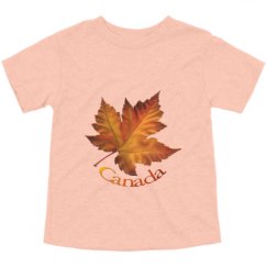 Toddler Triblend Tee