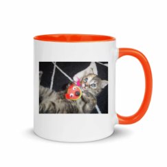 11oz Ceramic Mug with Color Inside