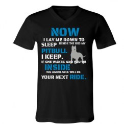 Unisex V-Neck Jersey Tee