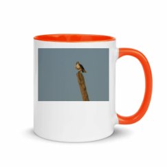 11oz Ceramic Mug with Color Inside