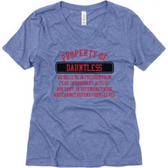 Ladies Relaxed Fit Super Soft Triblend V-Neck Tee