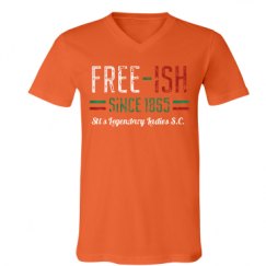 Unisex V-Neck Jersey Tee