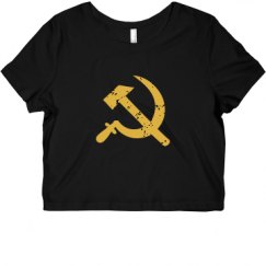 Ladies Slim Fit Crop Top Tee