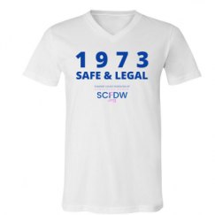 Unisex V-Neck Jersey Tee