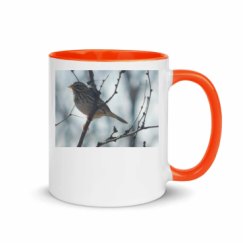11oz Ceramic Mug with Color Inside