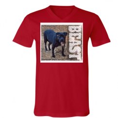 Unisex V-Neck Jersey Tee