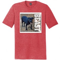 Unisex Perfect Tri Tee