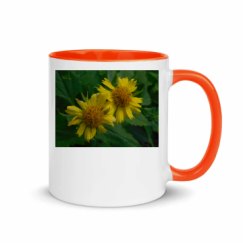 11oz Ceramic Mug with Color Inside
