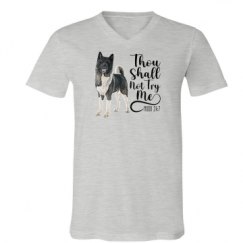 Unisex V-Neck Jersey Tee