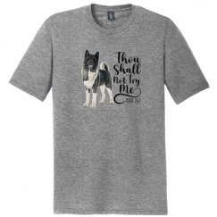 Unisex Perfect Tri Tee