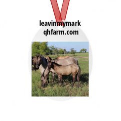 Metal Oval Christmas Ornament