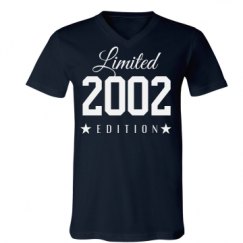 Unisex V-Neck Jersey Tee