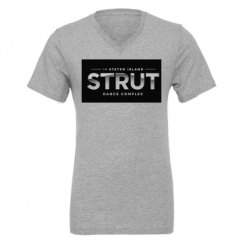 Unisex CVC Jersey V-Neck T-Shirt