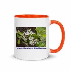 11oz Ceramic Mug with Color Inside