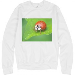 Ladybug sweat