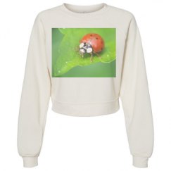 Women's Raglan Pullover Fleece