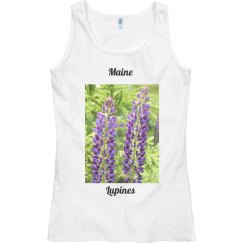 Maine Lupines