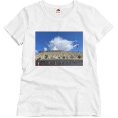 Ladies Basic Softstyle Tee