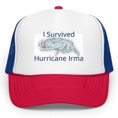 I Survived Hurricane Irma Hat
