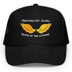 Resurrected Angel Hat w/Gold Glitter
