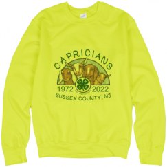 Unisex Neon Crewneck Sweatshirt