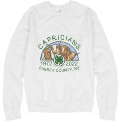 Unisex Basic Promo Crewneck Sweatshirt