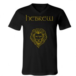 Unisex V-Neck Jersey Tee