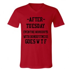 Unisex V-Neck Jersey Tee