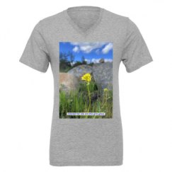 Unisex CVC Jersey V-Neck T-Shirt