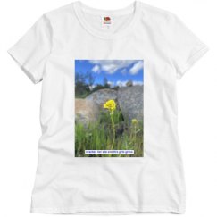 Ladies Basic Softstyle Tee