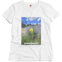 Ladies Basic Softstyle Promo Tee