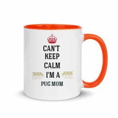 11oz Ceramic Mug with Color Inside