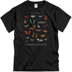 Butterflies Vintage Butterfly Chart