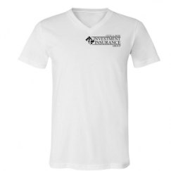 Unisex V-Neck Jersey Tee