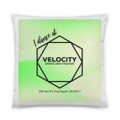 All Over Print 22 Inch Pillow