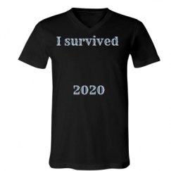 Unisex V-Neck Jersey Tee