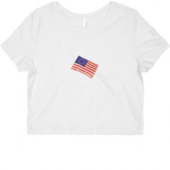 Ladies Slim Fit Crop Top Tee