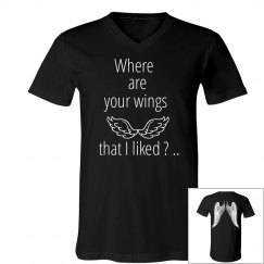 Where are your wings that I liked ?..